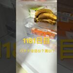 はじけたバララを食べる🍌糖質制限ダイエットと四毒抜きの結果2型糖尿病30歳で心筋梗塞2本詰まらせ心臓腐ってからの全食事記録1181日目 #糖尿病の品格 #糖質 #糖尿病 #成人病#血糖値 #バナナ