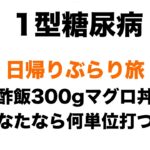 【１型糖尿病】血糖値公開！マグロ丼300gの酢飯＋赤福2個！あなたなら何単位打ちますか？