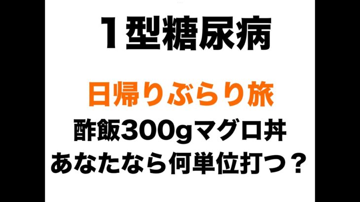 【１型糖尿病】血糖値公開！マグロ丼300gの酢飯＋赤福2個！あなたなら何単位打ちますか？