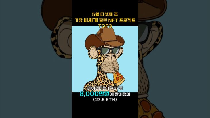 5월 다섯째 주 가장 비싸게 팔린 NFT 프로젝트 TOP3 #Shorts, #쇼츠