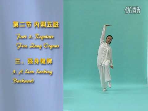 中医气功学9 糖尿病