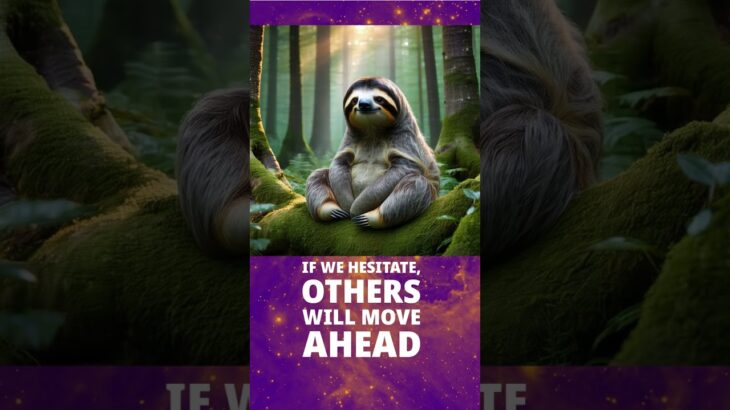 AI Loves, the Sloth Life