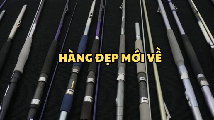 🔥 Cần Câu Nhật Bãi: Cần Dây Trong Carbon Daiwa, NFT, Alphatackle Mới Về | Hàng Đẹp 🎣