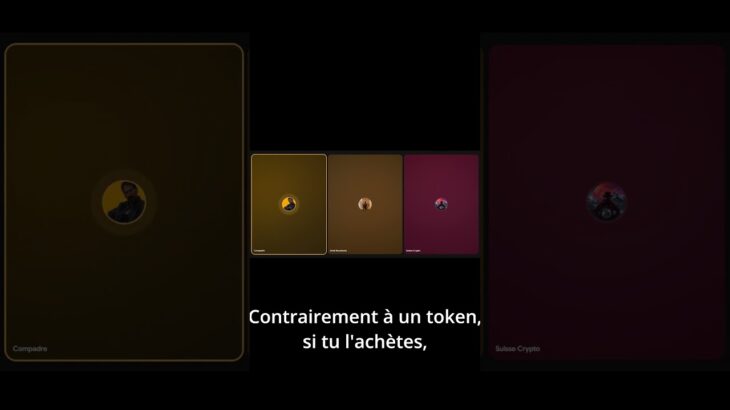 Ce projet veut réparer le plus gros problème des NFT