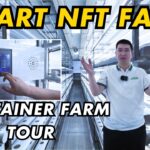 Custom NFT Hydroponic Container Farm for Commercial Indoor Growing
