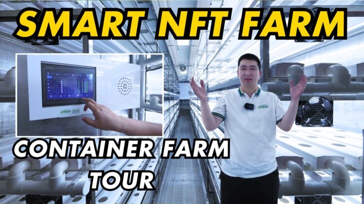 Custom NFT Hydroponic Container Farm for Commercial Indoor Growing