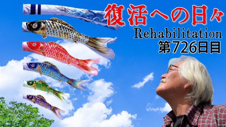 【#糖尿病 #闘病記】DAY726 都内の鯉のぼりを巡る散歩【#散歩】2026年5月5日の記録