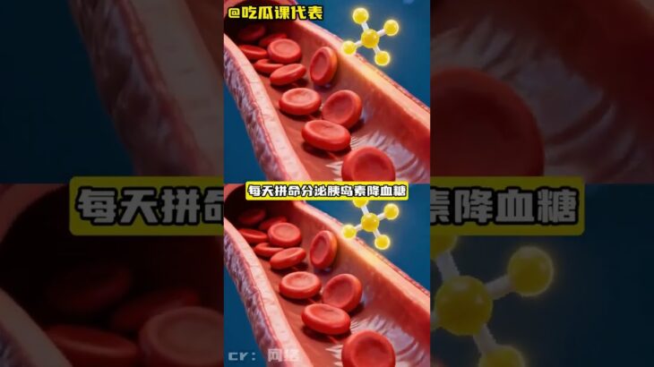 我看誰還在只吃碳水 #糖尿病 #碳水 #天塌了 #健康 #飲食 DOU+小助手