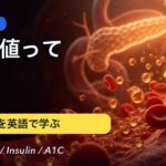 糖尿病を英語で学ぶ | Diabetes Explained in English（日本語字幕）