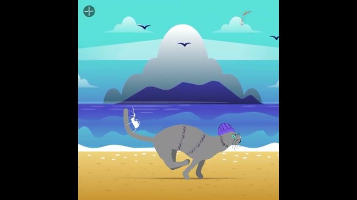 DoodCats NFT Animation