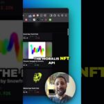 Fetch NFT Data with the Moralis NFT API
