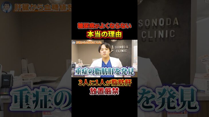 【新常識】あなたの高血糖・高HbA1cは脂肪肝のせいかもしれません【現役糖尿病内科医】
