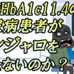【糖尿病】HbA1cが11.4でchatGPTに入院しろと言われた私がマンジャロを打たない理由をお話しします