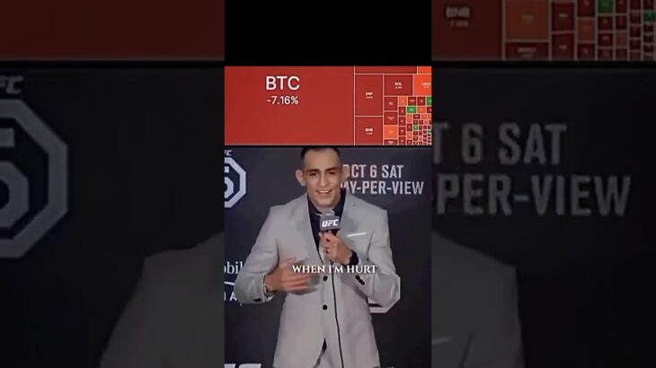 Market downturns are part of every crypto and NFT journey.