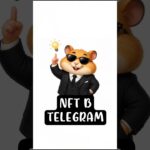 КАК РАБОТАЮТ NFT?!🐹