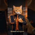 PULSE PLATFORM ОБНОВИЛСЯ #nft #rwa #polymarket #крипта #Инвестиции