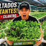 Paso a paso: Cómo monitoreo mi sistema NFT para una cosecha perfecta 🌱 HIDROPONIA PASO A PASO 💪