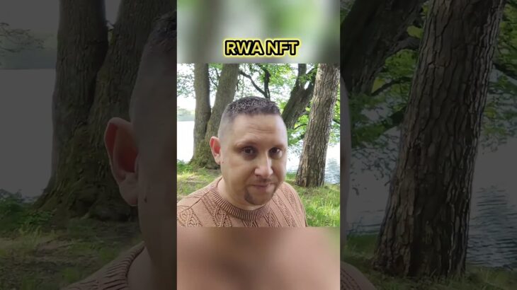 RWA NFT инструмент для пассивного дохода