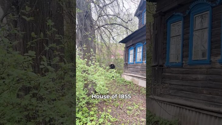 Restoring a 1855 House with NFT & Crypto 🏠💎 #restoration #nft #familybusiness #history #shorts