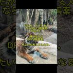 #薬剤師 #糖尿病 #調剤薬局 #医療 #SGLT2 #メトホルミン #GLP1 #マンジャロ #医療従事者 #薬局