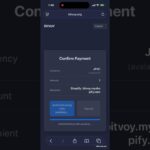 ShopifyでJPYCチェックアウト｜BitVoy デモ #nft #chatgpt #crypto