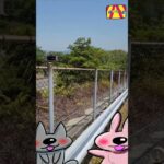 糖尿病　#Shorts