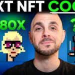 THE NEXT NFT MINT TO COOK?