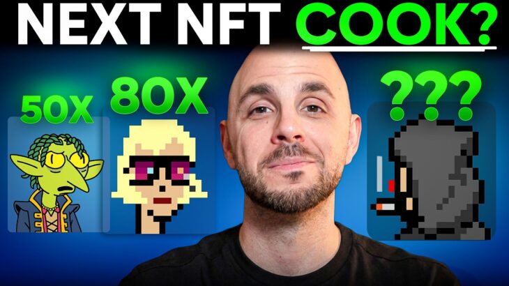THE NEXT NFT MINT TO COOK?