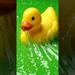 Yellow rubber duck swimming slime OMG !!! #cortesatisfactorio #elemental #nft #animation