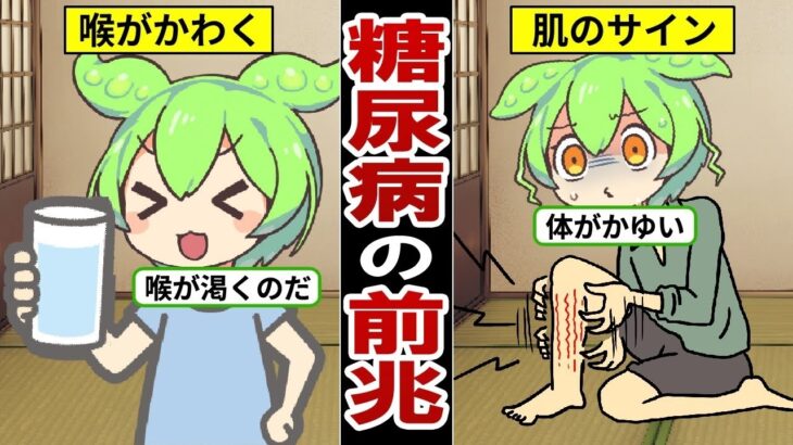 知らないとヤバい！糖尿病の危険サイン！症状から予防法まで解説【ずんだもん｜高血糖｜食事｜ヘモグロビンa1c】