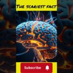 #audio #music #nft #bitcoin