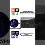 discipline 👑#hermitvpn #fragments #shorts #mrbeast #топ #nft #pepe #telegram #memes #shorts
