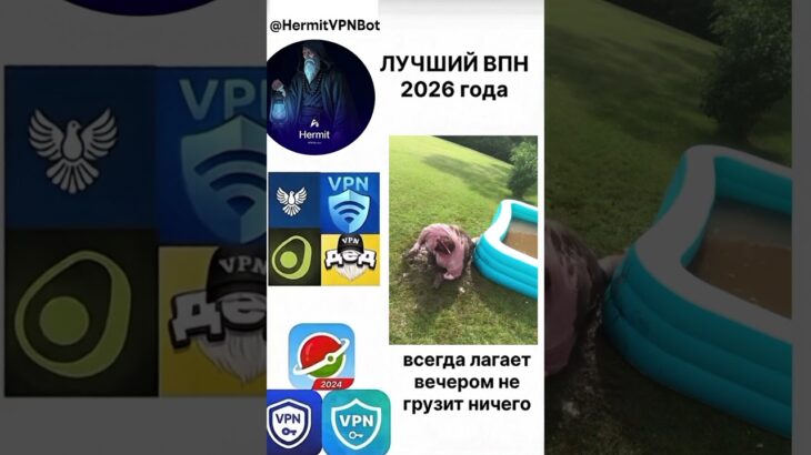 🐗#hermitvpn #nft #shorts #mrbeast #топ #fragments #pepe #telegram #memes #shorts