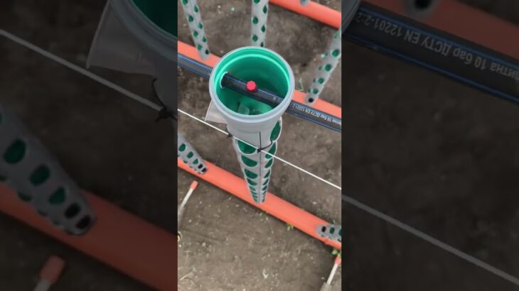 Как выглядит система полива сверху #hydroponics #nft система#теплица#гидропоника#николаев