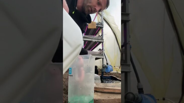 А вот первое добавление для рассады #гидропоника #hydroponics #своимируками #nft система#теплица