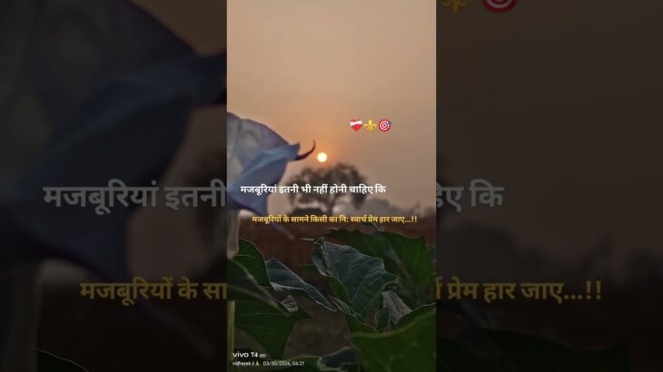 majburiya itni bhi nahi honi chahiye #viralshort #hashtag #popularshorts #nft
