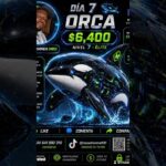 nft Orca level 7