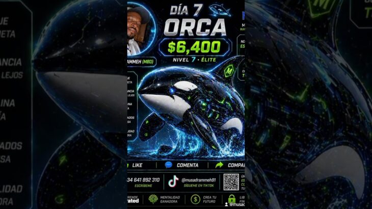 nft Orca level 7