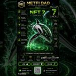 nft level 7