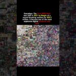 sold his digital collage NFT for $69.3 million