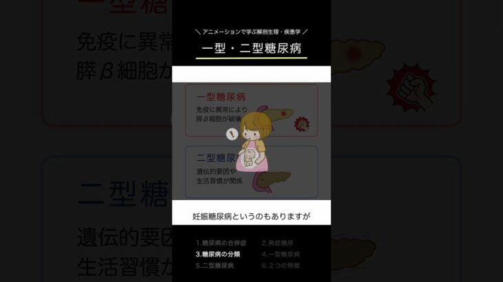 ＼糖尿病になるとどうなる？／ #解剖生理学
