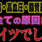 ※なぜ医者は教えてくれなかった？糖尿病、高血圧、脂質異常症を作り出す真犯人は全部コレでした…。【ゆっくり解説】