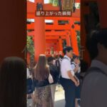 【京都】伏見稲荷千本鳥居⛩️#透析#糖尿病