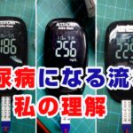 糖尿病になる流れ私の理解