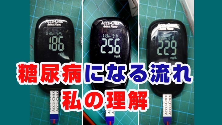 糖尿病になる流れ私の理解
