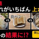 【糖尿病】白米・パン・もち麦ごはんで血糖値はどう変わる？実測してみた