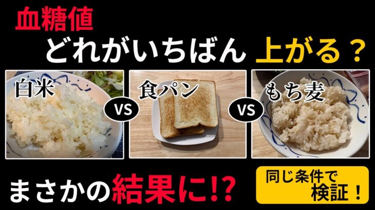 【糖尿病】白米・パン・もち麦ごはんで血糖値はどう変わる？実測してみた