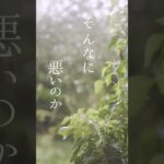透析への不安の日々　高血圧、糖尿病から腎臓機能低下は誰にでも起きる可能性があります #高血圧 #糖尿病 #腎臓病