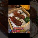 #おじ　#糖尿病　#高血圧　#伊勢神宮　#主張でぶでぶランド