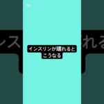インスリンが壊れるとこうなる #薬剤師 #糖尿病 #インスリン #インスリン抵抗性 #血糖値コントロール